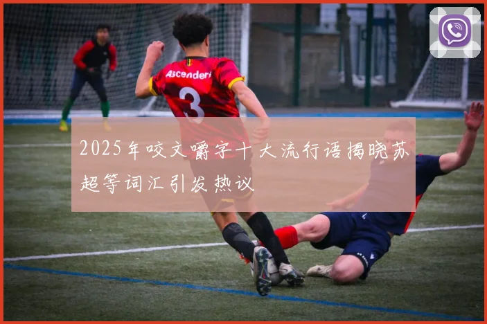 2025年咬文嚼字十大流行语揭晓苏超等词汇引发热议