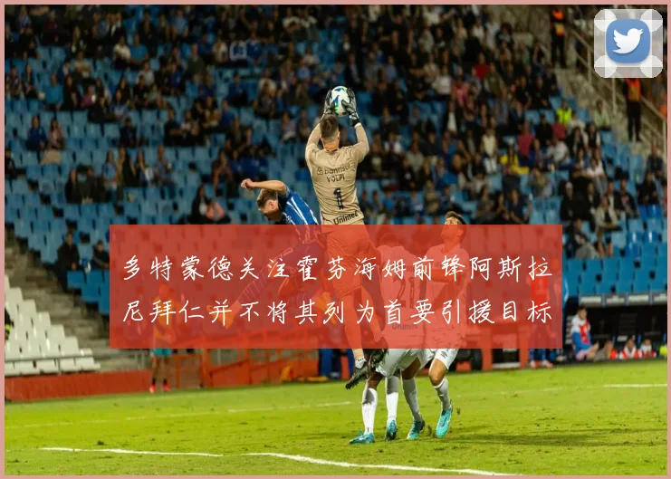 多特蒙德关注霍芬海姆前锋阿斯拉尼拜仁并不将其列为首要引援目标