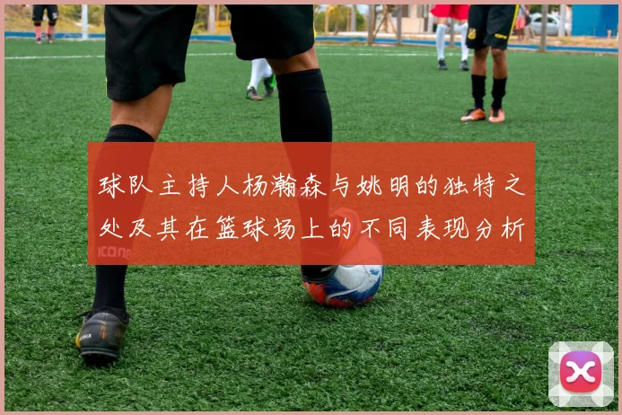 球队主持人杨瀚森与姚明的独特之处及其在篮球场上的不同表现分析
