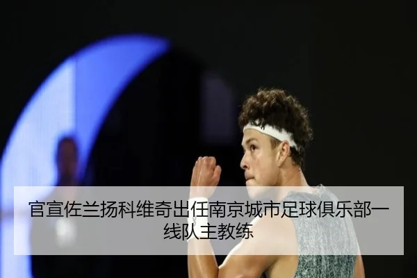 官宣佐兰扬科维奇出任南京城市足球俱乐部一线队主教练 | bandao